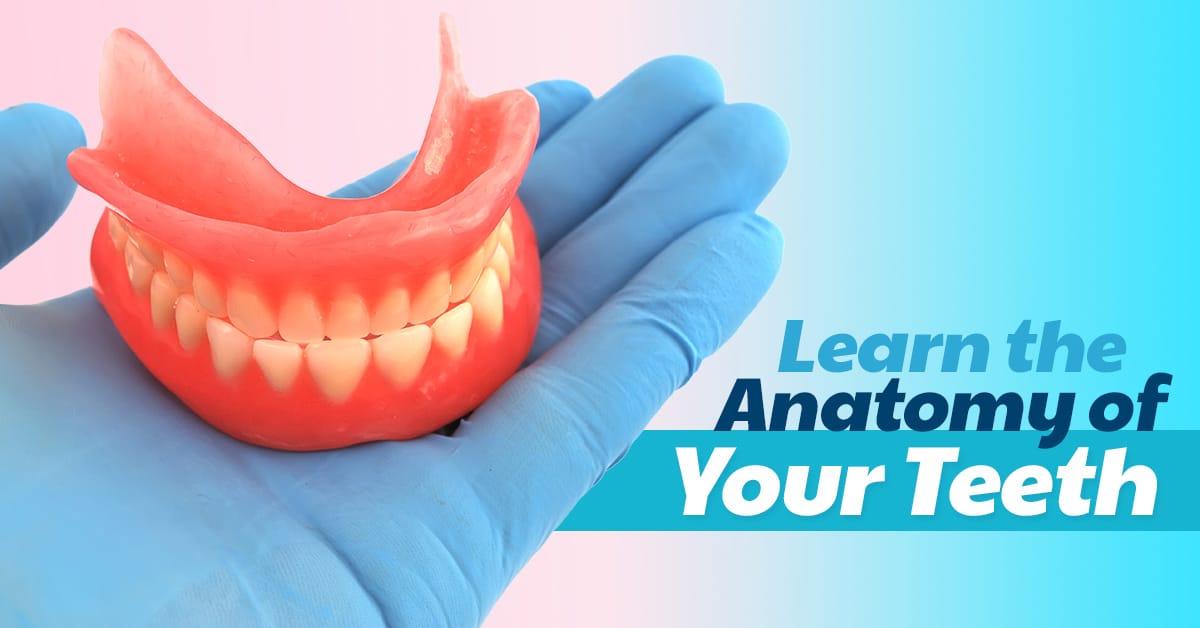 Dentist in Seattle WA