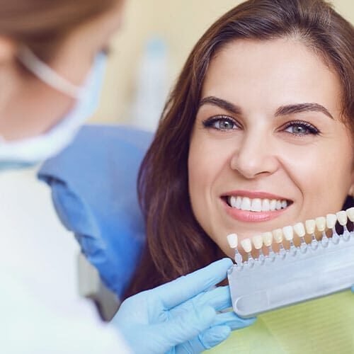 endodontist seattle